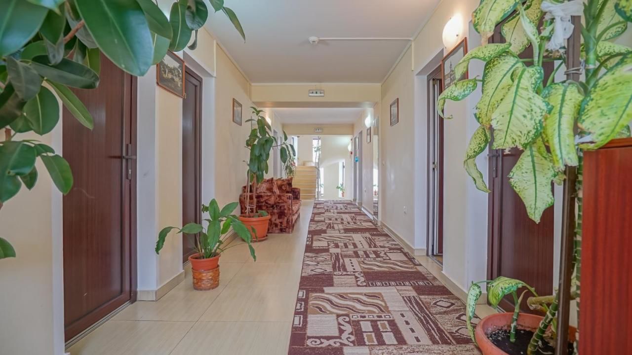 Мотели Motel Rolizo Brasov Брашов-6