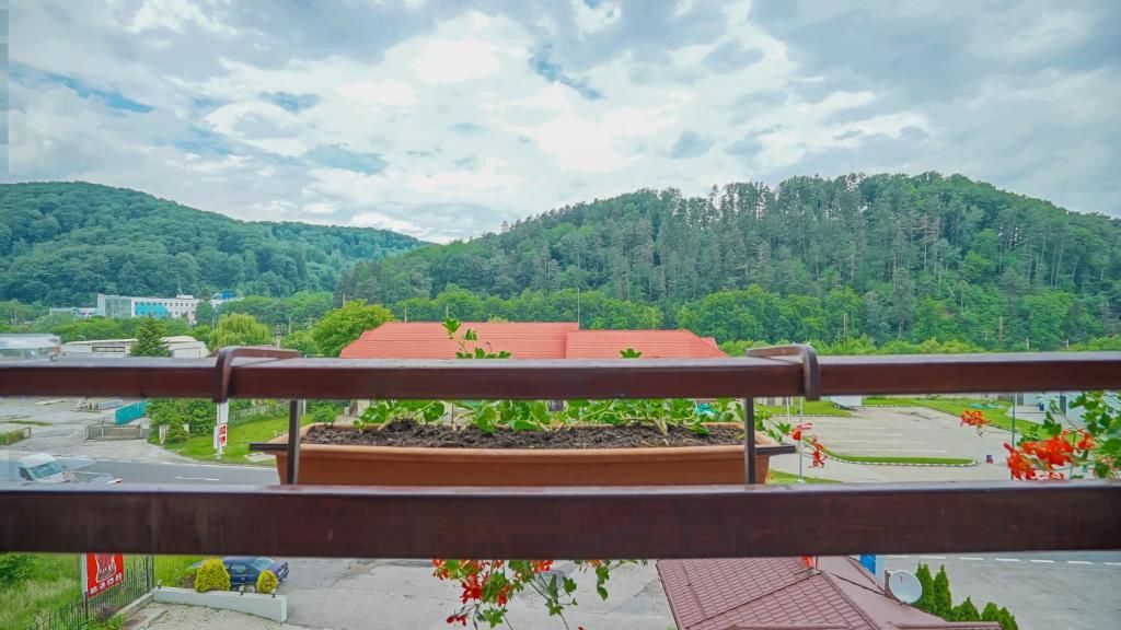 Мотели Motel Rolizo Brasov Брашов