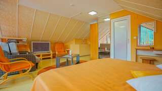 Мотели Motel Rolizo Brasov Брашов Трехместный номер с балконом-14