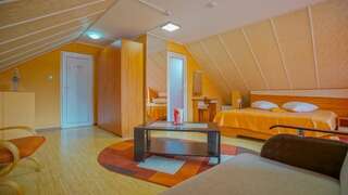 Мотели Motel Rolizo Brasov Брашов Трехместный номер с балконом-16