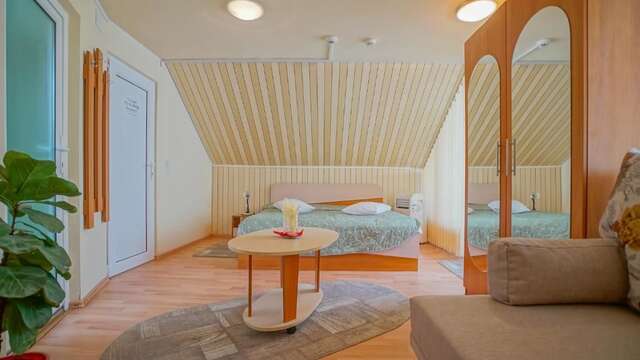 Мотели Motel Rolizo Brasov Брашов-62